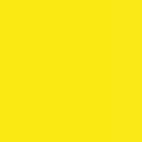Primary Yellow 169-048